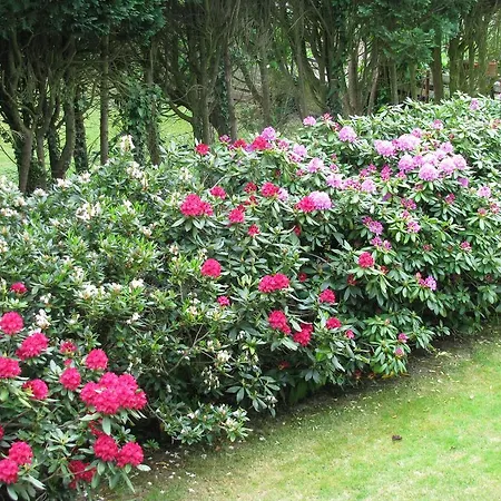 Schlossblick - 4 Sterne Sauna Pool Whirlpool Exklusiv * 布劳恩费尔斯