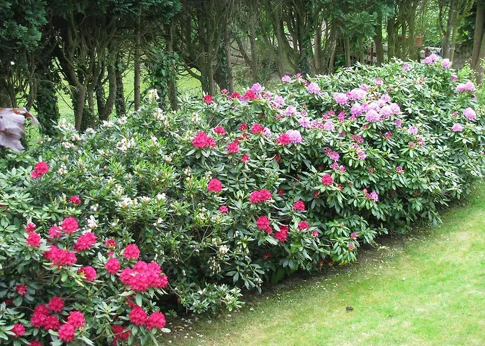 Schlossblick - 4 Sterne Sauna Pool Whirlpool Exklusiv * Braunfels